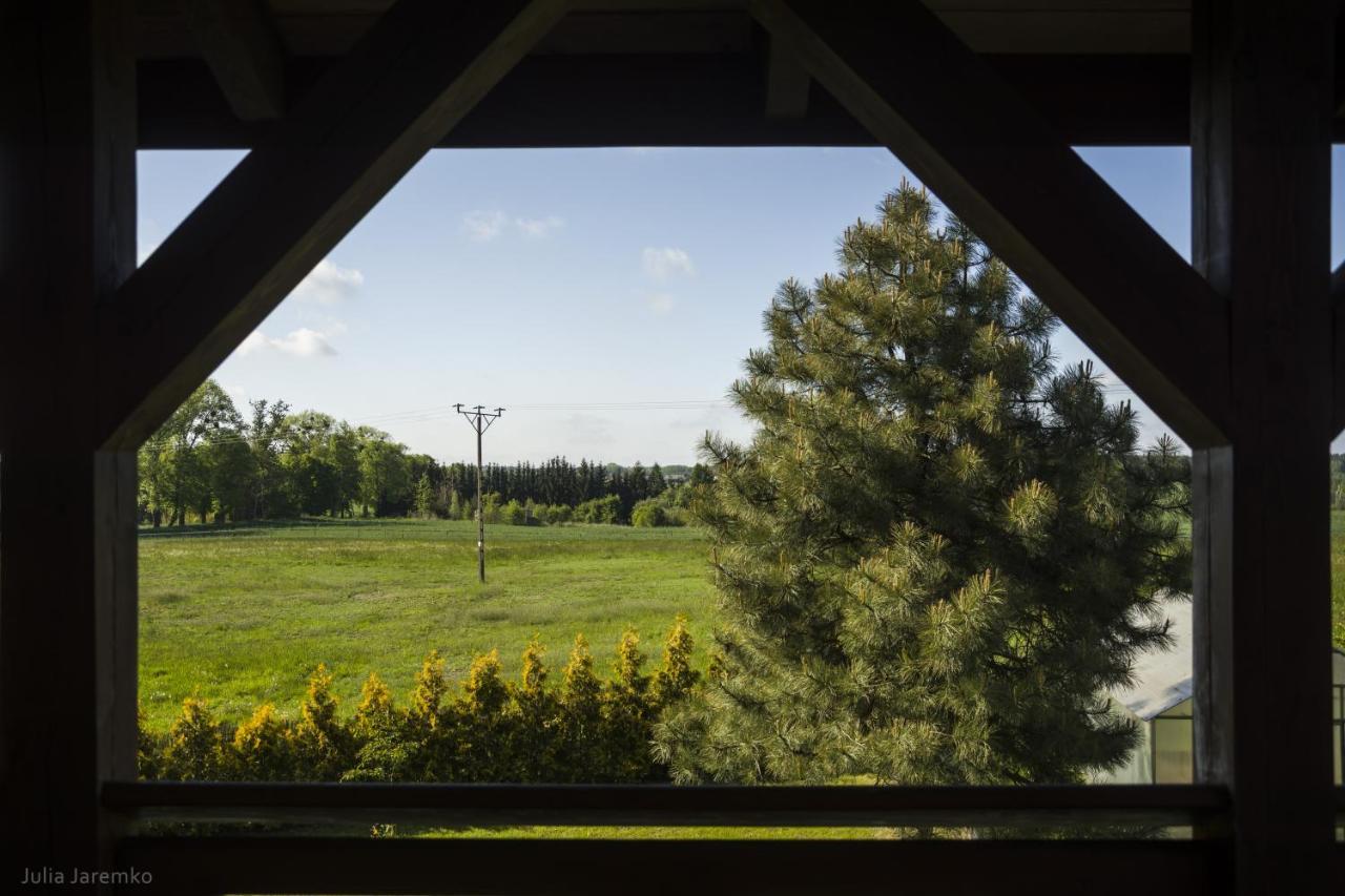 Villa Lesne Zacisze à Iława Extérieur photo